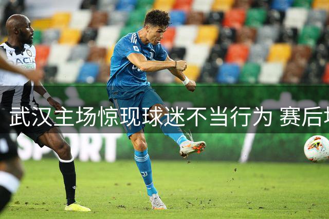 武汉主场惊现球迷不当行为 赛后地铁袭击事件引关注